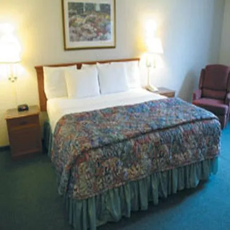 La Quinta By Wyndham St. Pete-Clearwater Airport Hotel